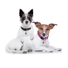 Load image into Gallery viewer, MASBRILL Adjustable Nylon Reflective Pet Collar