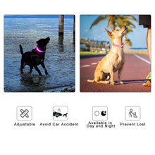 Load image into Gallery viewer, Light Up Waterproof Dog Collar - shoplipari