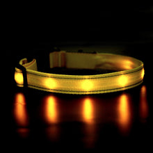 Load image into Gallery viewer, Light Up Waterproof Dog Collar - shoplipari