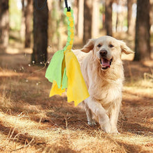 Load image into Gallery viewer, Extendable Pet Lure Stick - shoplipari