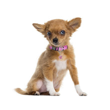 Load image into Gallery viewer, MASBRILL Adjustable Nylon Reflective Pet Collar