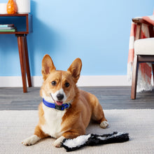 Load image into Gallery viewer, MASBRILL Adjustable Nylon Reflective Pet Collar