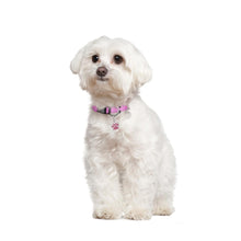 Load image into Gallery viewer, MASBRILL Adjustable Nylon Reflective Pet Collar