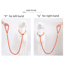 Load image into Gallery viewer, 1.7M Durable Large Dog Leash - shoplipari