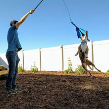 Load image into Gallery viewer, Extendable Pet Lure Stick - shoplipari