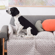 Load image into Gallery viewer, Winter Summer Pet Sofa Cushion - shoplipari