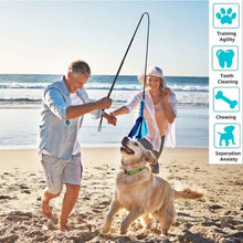 Load image into Gallery viewer, Extendable Pet Lure Stick - shoplipari