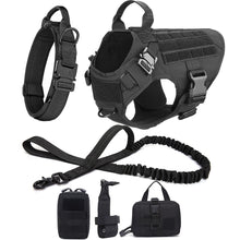 Load image into Gallery viewer, Large Dog Harness Training Leash, Collar and Vest Set