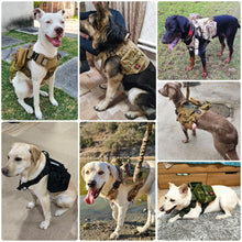 Load image into Gallery viewer, Large Dog Harness Training Leash, Collar and Vest Set